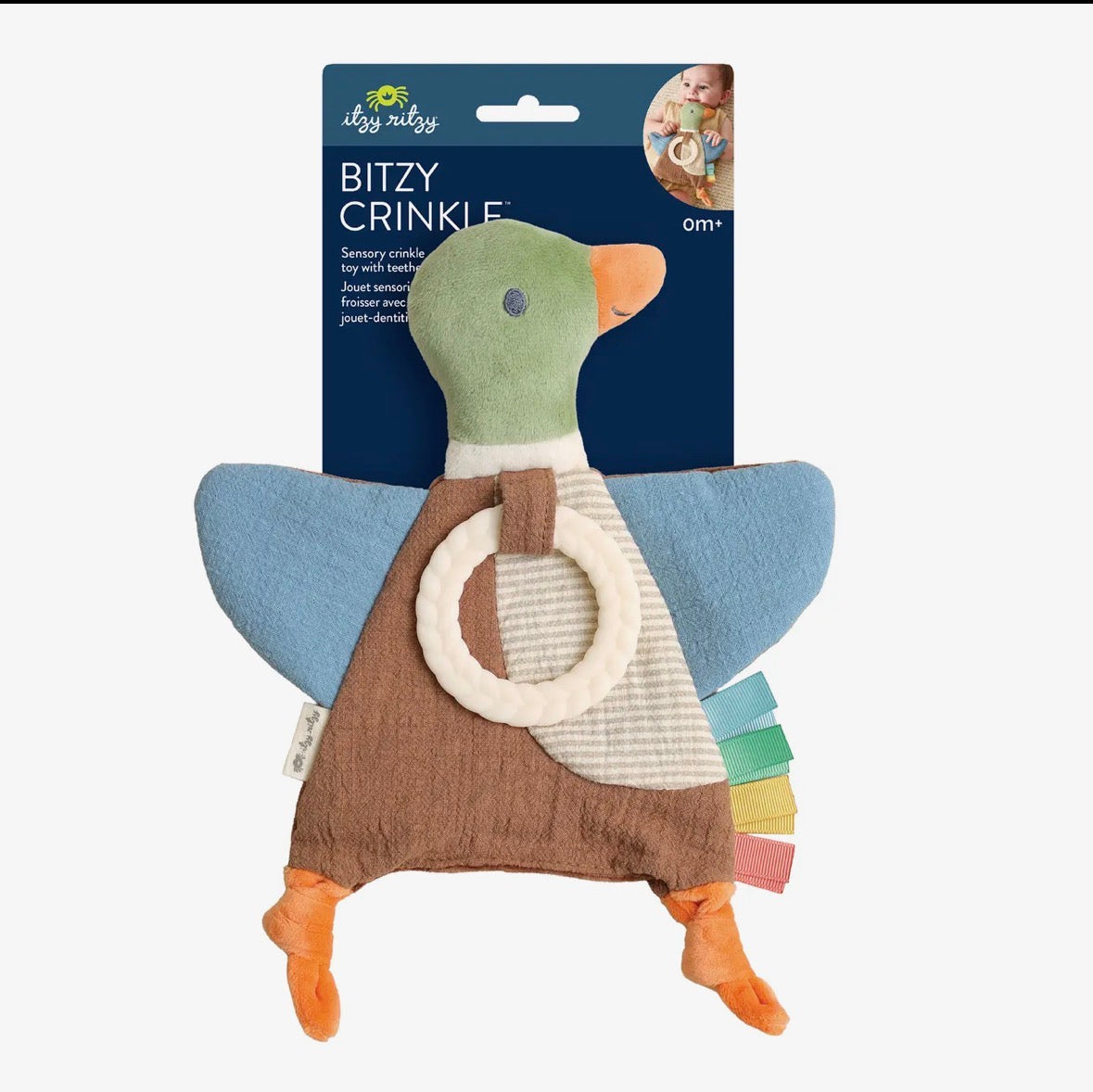 Mallard Duck Crinkle